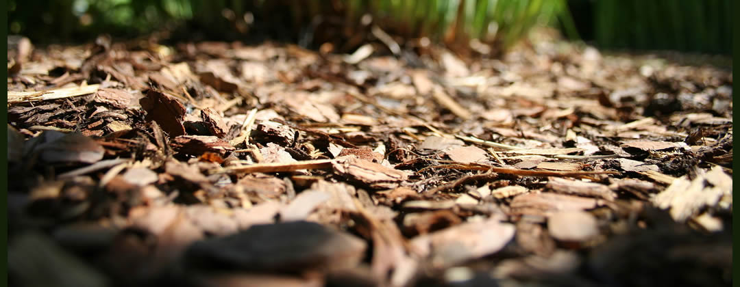 Magic Mulch